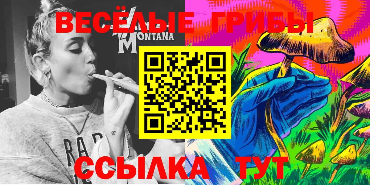 Псилоцибиновые грибы Psilocybe  Вход с VPN  Богданович 